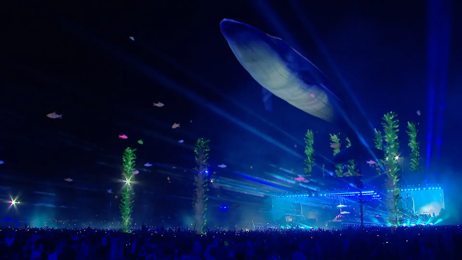 COACHELLA — gallery